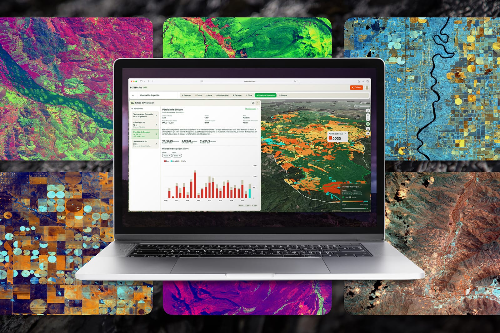 Lemu in 2025: Our Year in Numbers