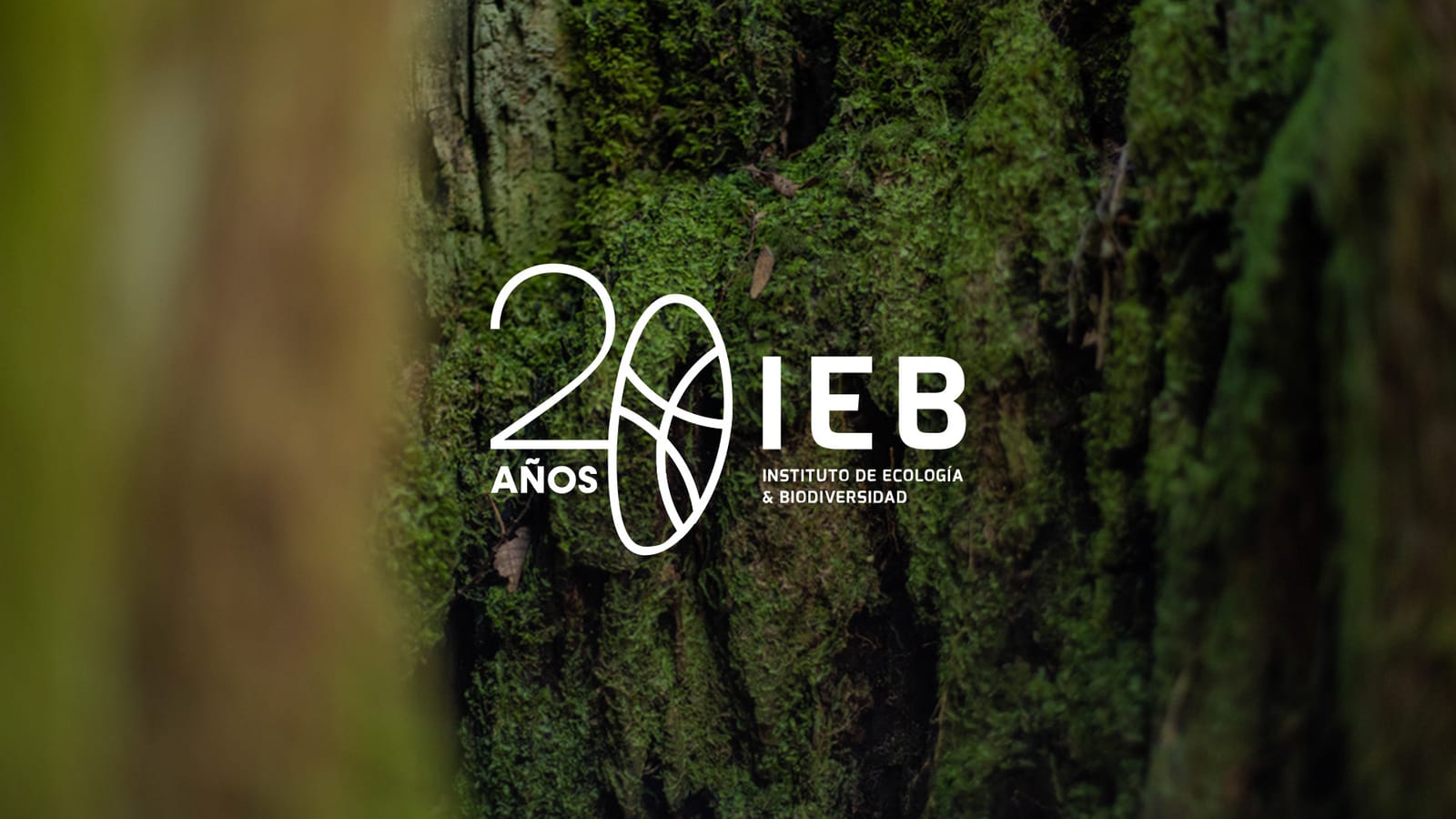 Lemu and the Institute of Ecology and Biodiversity (IEB) sign collaboration agreement to deepen science-backed Nature Intelligence