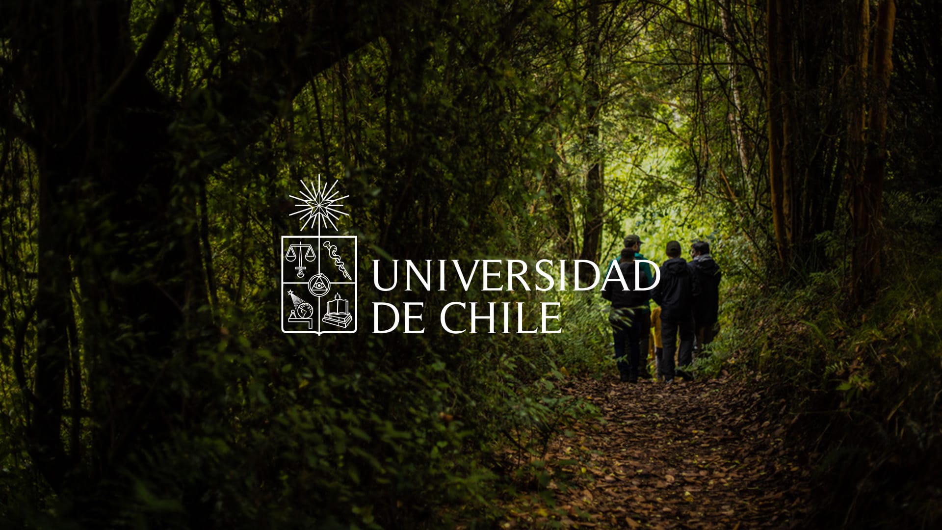 University of Chile and Lemu sign agreement to advance forest monitoring in Chile